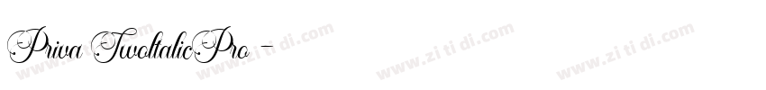 Priva TwoltalicPro 字体转换